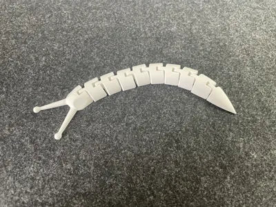 Slug