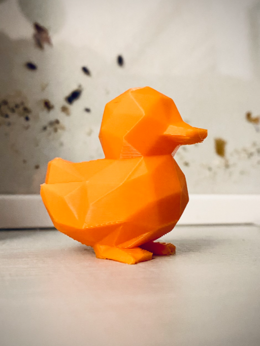Cute Duck - Gold